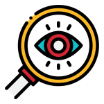 Discovery & Visibility